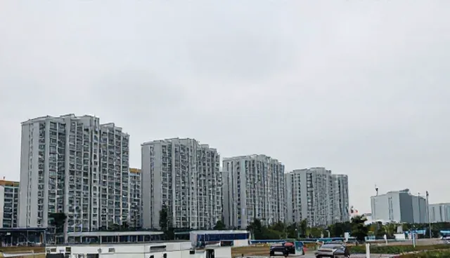 企业信息发布选型与维护建议